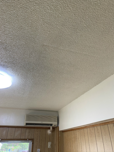 見違えるほどの仕上がり 賃貸アパートの天井のカビを除カビ 防カビ施工してきました 沖縄県内 建物のカビのことならエルイズビーにおまかせください