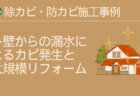 外壁からの漏水によるカビ発生と大規模リフォーム：除カビ・防カビ施工事例