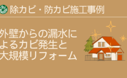 外壁からの漏水によるカビ発生と大規模リフォーム：除カビ・防カビ施工事例