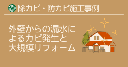 外壁からの漏水によるカビ発生と大規模リフォーム：除カビ・防カビ施工事例