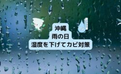 【カビ対策】雨の日に湿度を調整する家電のご紹介