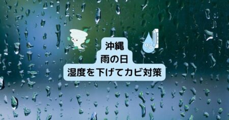 【カビ対策】雨の日に湿度を調整する家電のご紹介