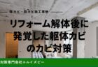 リフォーム解体後に発覚した躯体カビのカビ対策｜除カビ防カビ施工事例｜エルイズビー