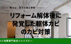 リフォーム解体後に発覚した躯体カビのカビ対策｜除カビ防カビ施工事例｜エルイズビー