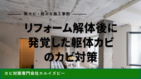 リフォーム解体後に発覚した躯体カビのカビ対策｜除カビ防カビ施工事例｜エルイズビー