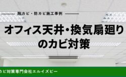 オフィス天井・換気扇廻りのカビ対策｜除カビ防カビ施工事例｜エルイズビー