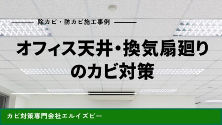 オフィス天井・換気扇廻りのカビ対策｜除カビ防カビ施工事例｜エルイズビー