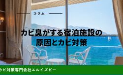 カビ臭がする宿泊施設の原因とカビ対策｜コラム｜エルイズビー