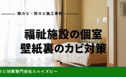 福祉施設の個室壁紙裏のカビ対策｜除カビ防カビ施工事例｜エルイズビー