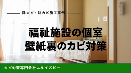 福祉施設の個室壁紙裏のカビ対策｜除カビ防カビ施工事例｜エルイズビー