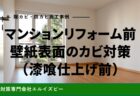 マンションリフォーム前に行った壁紙表面カビのカビ対策（漆喰仕上げ前）｜除カビ防カビ施工事例｜エルイズビー
