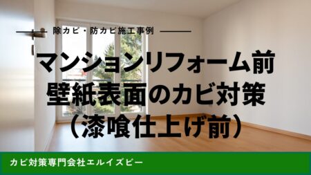 マンションリフォーム前に行った壁紙表面カビのカビ対策（漆喰仕上げ前）｜除カビ防カビ施工事例｜エルイズビー