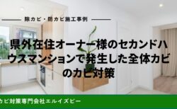 県外在住オーナー様のセカンドハウスマンションで発生した全体カビのカビ対策｜除カビ防カビ施工事例｜エルイズビー