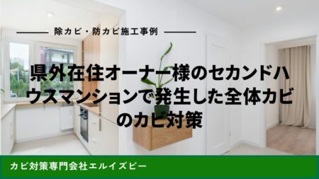 県外在住オーナー様のセカンドハウスマンションで発生した全体カビのカビ対策｜除カビ防カビ施工事例｜エルイズビー
