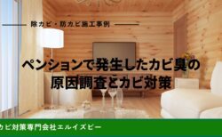 ペンションで発生したカビ臭の原因調査とカビ対策｜除カビ・防カビ施工事例｜エルイズビー