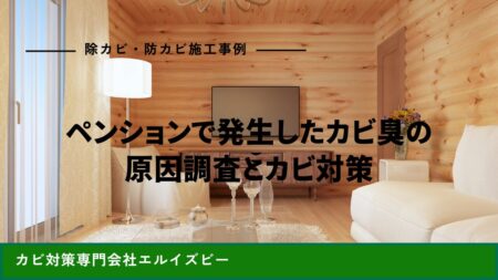 ペンションで発生したカビ臭の原因調査とカビ対策｜除カビ・防カビ施工事例｜エルイズビー