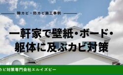 一軒家で壁紙・ボード・躯体に及ぶカビ対策｜除カビ防カビ施工事例｜エルイズビー