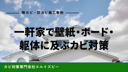 一軒家で壁紙・ボード・躯体に及ぶカビ対策｜除カビ防カビ施工事例｜エルイズビー